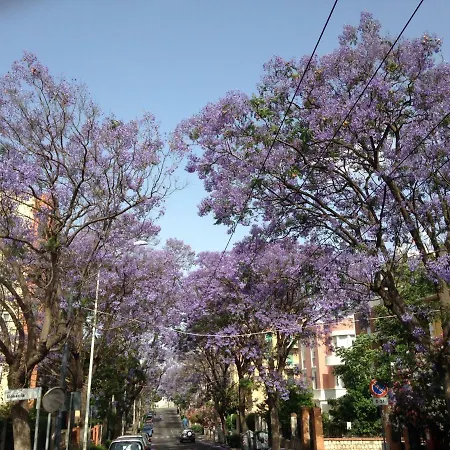 Arenada Private And Sud Apartment *